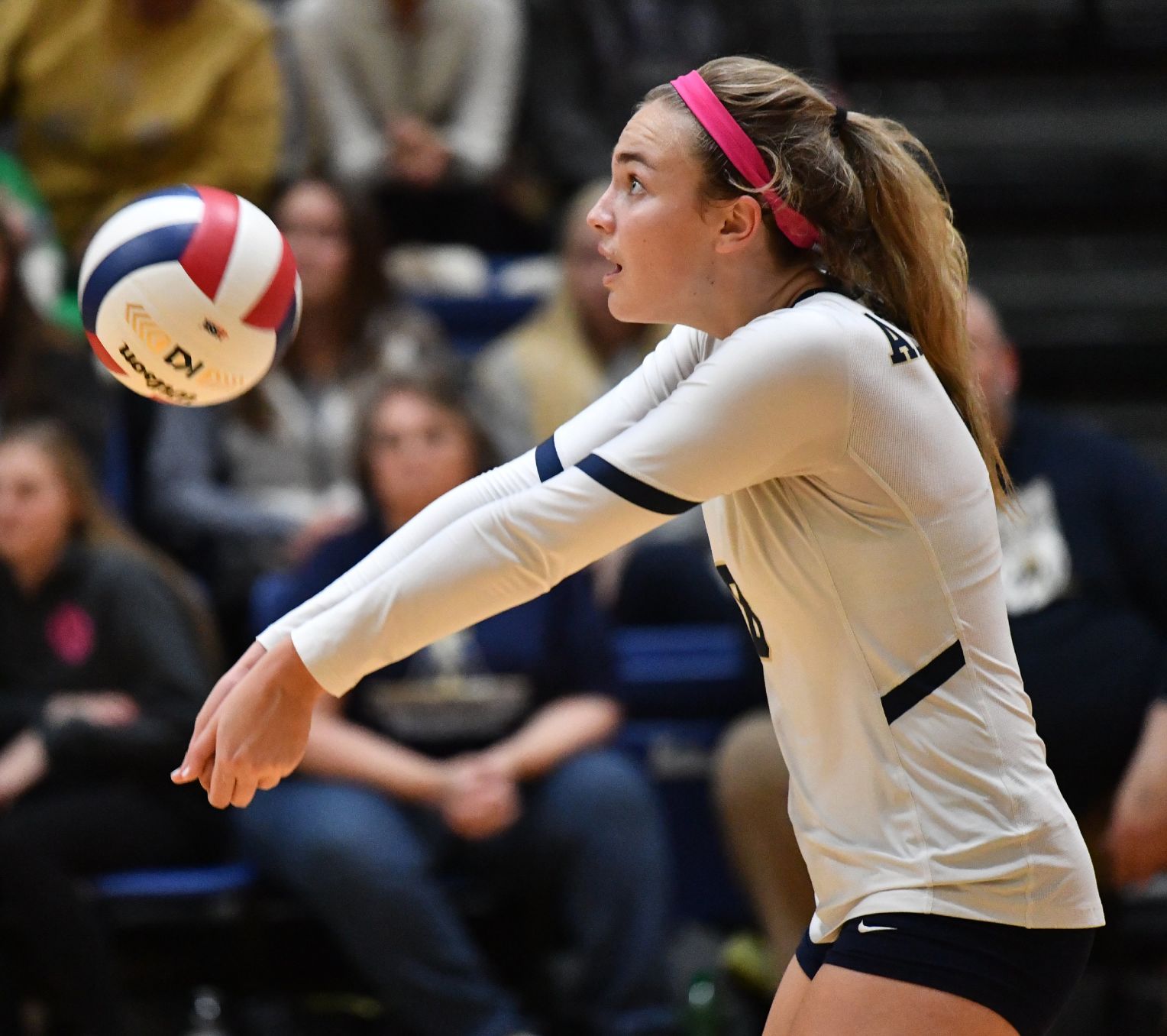 Edwardsville vs Althoff 4A Volleyball Sectional Semifinal